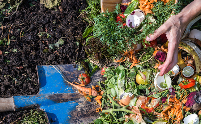 Picking a Food Waste Processing System: